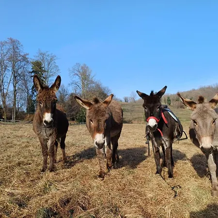 La Rindola Feriegård Altissimo