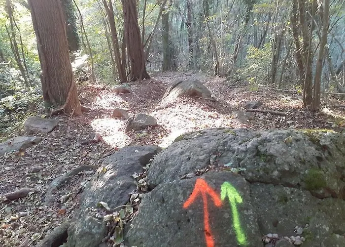 La Rindola Κατάλυμα σε φάρμα *