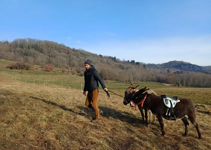 Κατάλυμα σε φάρμα La Rindola Altissimo