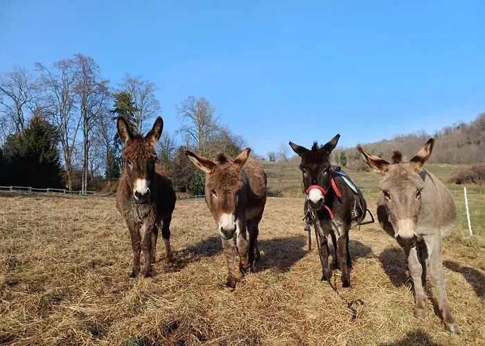 La Rindola Κατάλυμα σε φάρμα Altissimo