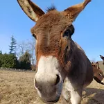 La Rindola Agroturismo